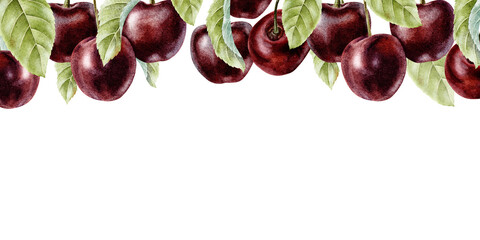 Cherry berries template. Banner of Sweet cherry fruits and leaves. Isolated Hand drawn illustration watercolor frame. Botanical summer background or menu, wedding cards, packing