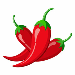 red chili vector