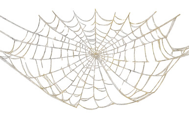 Obraz premium gold glitter spiderweb on white background