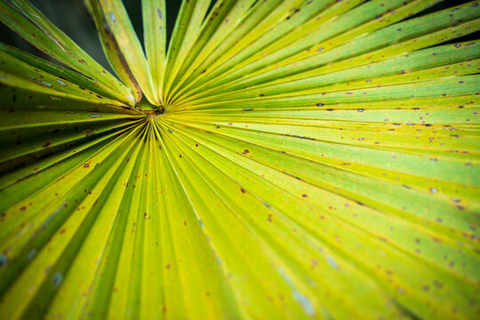 Everglades National Park, Florida, United States