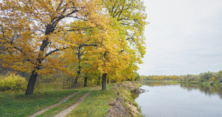 Path runs along the edge of a river, with trees lining the banks