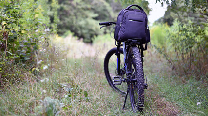 bike. transport. summer or autumn time. mountain bike. A mountain bike stands on a trail in a summer forest. cycling outdoor. concepts of sports, cycling, outdoor activities. spring park. back view