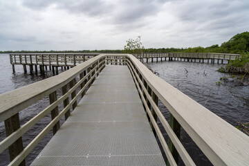 Obraz premium Boardwalk at Everglades National Park, Florida, United States