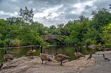 Gapstow Bridge in Central Park, late summer