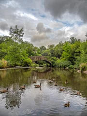 Gapstow Bridge in Central Park, late summer