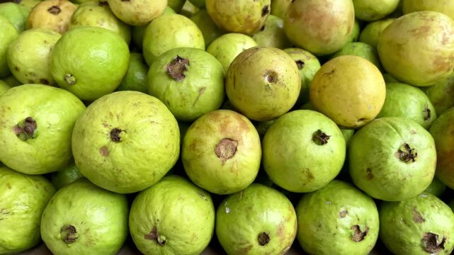 Pile of yellow and light green guava fruit at a fresh fruit vendor. fresh green guava fruit background