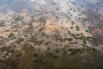 Aerial view of Everglades National Park, Florida, United States