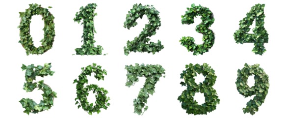 Pack 0 to 9 Numbers Leafy Vines Style set over Transparent Background for Modern Design Projects, Creative Branding, or Unique Typography Applications