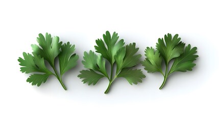 3D Coriander leaves icon on a white background