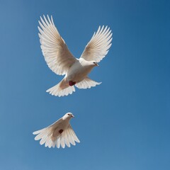 Obraz premium A white dove symbolizing peace, flying in a clear blue sky.