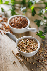 Green buckwheat groats and common roasted brown buckwheat, focus on a green buckwheat, close up view 