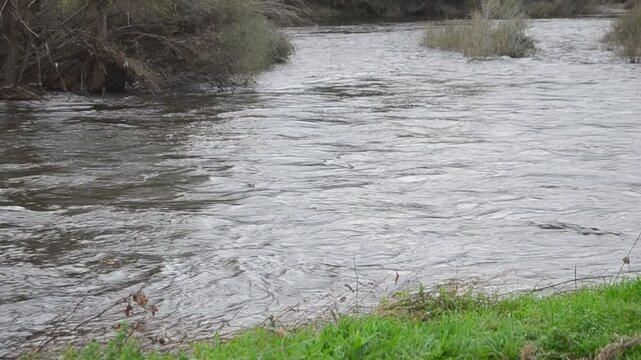 Andr&eacute;zieux-Bouth&eacute;on, France - 26 octobre 2024 : Vue de la Loire depuis le parc d'Andr&eacute;zieux. Le d&eacute;bit d'eau est tr&egrave;s important suite aux inondations qui ont frapp&eacute; la r&eacute;gion le 17 octobre 2024.