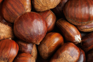 Castañas crudas con piel, alimento otoñal típico en las fiestas navideñas