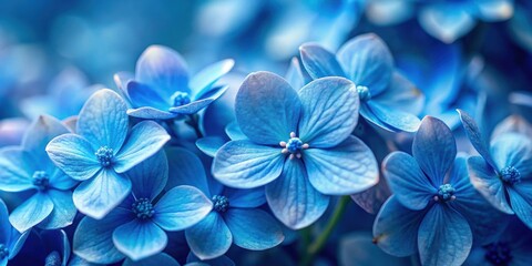 Close up of delicate blue flowers with intense color and intricate details, blue, flowers, close up, vibrant, delicate, petals