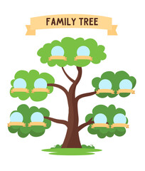 Genealogy family tree for ancestry history with photo frames on branches, vector template.