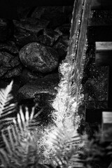 Flowing water splashing over rocks. In the foreground are blurred fern leaves