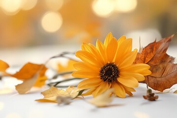 Bright yellow sunflower surrounded by autumn leaves captures the essence of the season in soft light