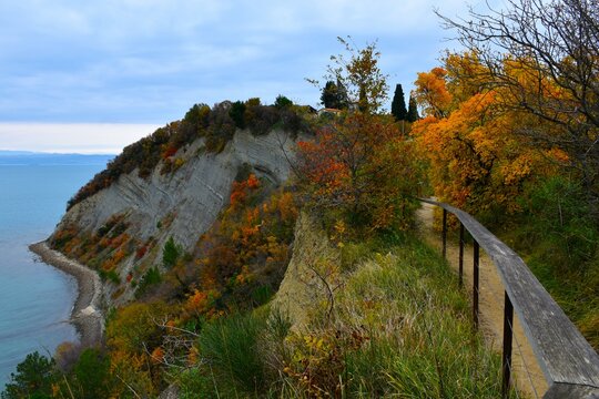 Fence and a footpath at Strunjan nature park and flysch cliff above the Adriatic sea in Istria, LIttoral, Slovenia