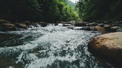 Fast flowing river stream in lush green forest.