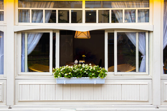A window with a white curtain and a potted plant in a window box. The potted plant is full of white flowers - Powered by Adobe