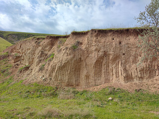 Grassy hillside, cut, soil eroded and landslide, clay, sand taken. Soil development