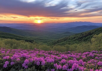 Obraz premium Breathtaking Sunset Over Rolling Hills Adorned with Vibrant Purple Rhododendrons Blooming in a Serene Mountain Landscape During Springtime