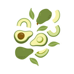 Green avocado flatlay print with leaves and slice. Hand drawn cartoon fruit illustration.
