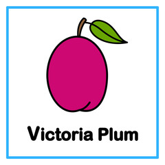flat victoria plum alfabet illustration © Rahmatullah