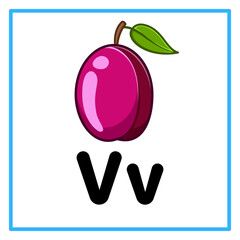 fresh victoria plum alfabet v illustartion © Rahmatullah