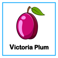 fresh victoria plum alfabet illustration © Rahmatullah