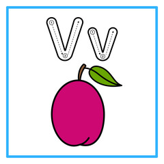 tracing alfabet flat victoria plum illustration © Rahmatullah