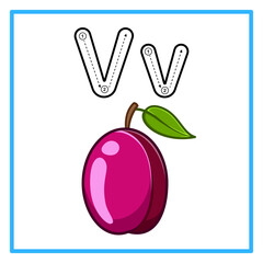 tracing alfabet fresh victoria plum illustartion © Rahmatullah