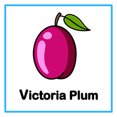 victoria plum alfabet illustration © Rahmatullah