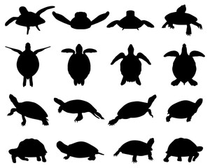 Black silhouettes of turtles on a white background