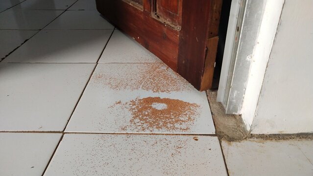 Close-Up of Termite Droppings Near Doorstep