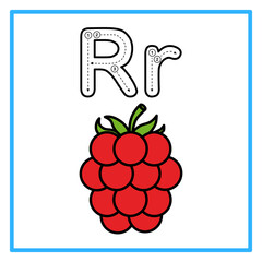 tracing alfabet flat raspberry illustration © Rahmatullah