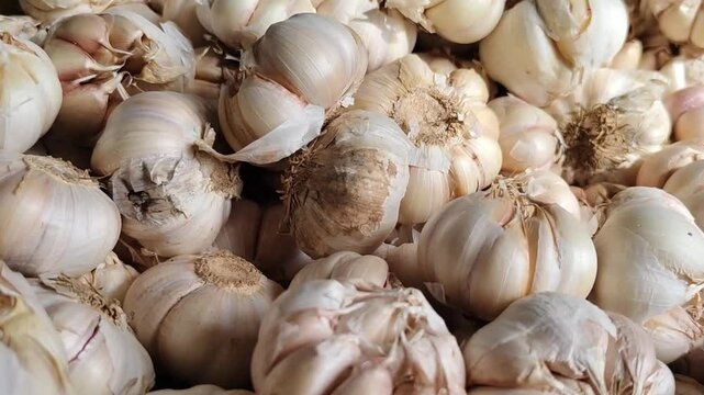 pile of garlic in the market close up