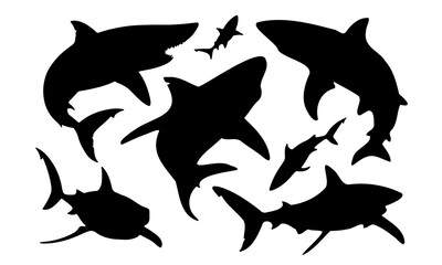 Black shark silhouette collection. Set of different shark silhouette on a white background