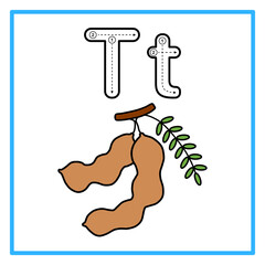 tracing alfabet flat tamarind illustration © Rahmatullah