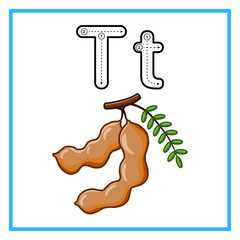 tracing alfabet fresh tamarind illustration © Rahmatullah