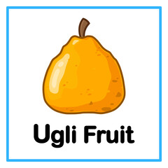 fresh ugli fruit alfabet illustration © Rahmatullah