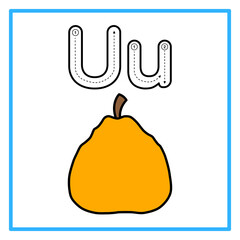 tracing alfabet flat ugli fruit illustration © Rahmatullah