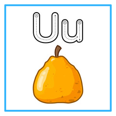 tracing alfabet fresh ugli fruit illustration © Rahmatullah