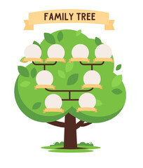 Genealogy family tree for ancestry history with photo frames on branches, vector template.