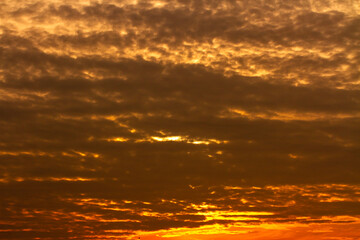 Sunrise Light in the Morning