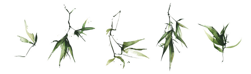 Watercolor exotic greenery set. Green bamboo branches, leaves and twigs. © satika