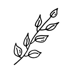 Branch with leaves. Plant. Doodle. Vector illustration. Hand drawn. Outline.