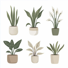 Collection of six potted plants with simple illustrations.