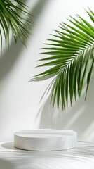 Natural light and shadows create an elegant backdrop with palm leaves and a circular pedestal