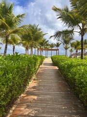 Obraz premium path to the beach